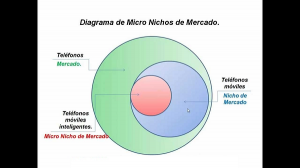 micronicho